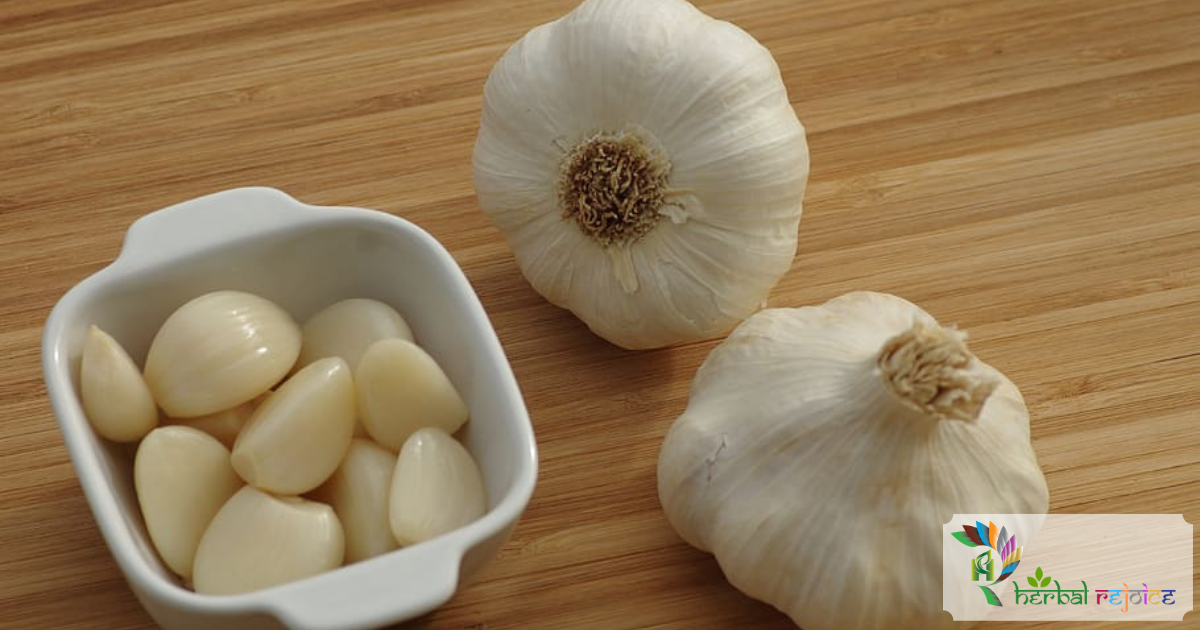 garlic or lehsun as a carminative, aphrodisiac, antibacterial, anthelmintic etc