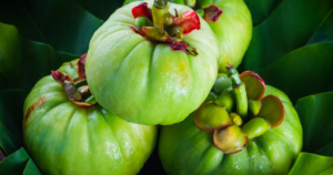 Garcinia cambogia, also known as "Vilayati Imli," is a remarkable herb with a rich history in traditional medicine and many promising medicinal properties.