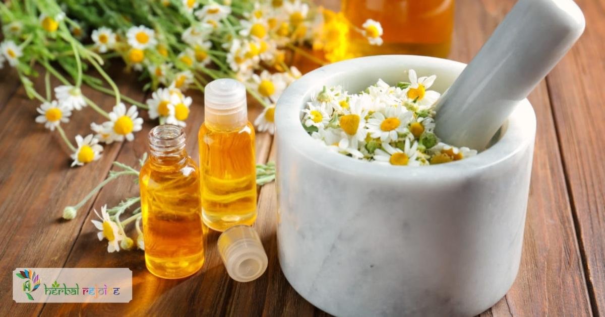 scientific name : Matricaria chamomile common name : German chamomile uses ; inflammatory diseases of the gastrointestinal tract and gastrointestinal spasms, mucous membrane and Ano-genital inflammation, bacterial skin diseases.