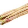 scientific name : Asparagus racemosus common name : shatavari uses : milk production, bleeding disorders, heal ulcers