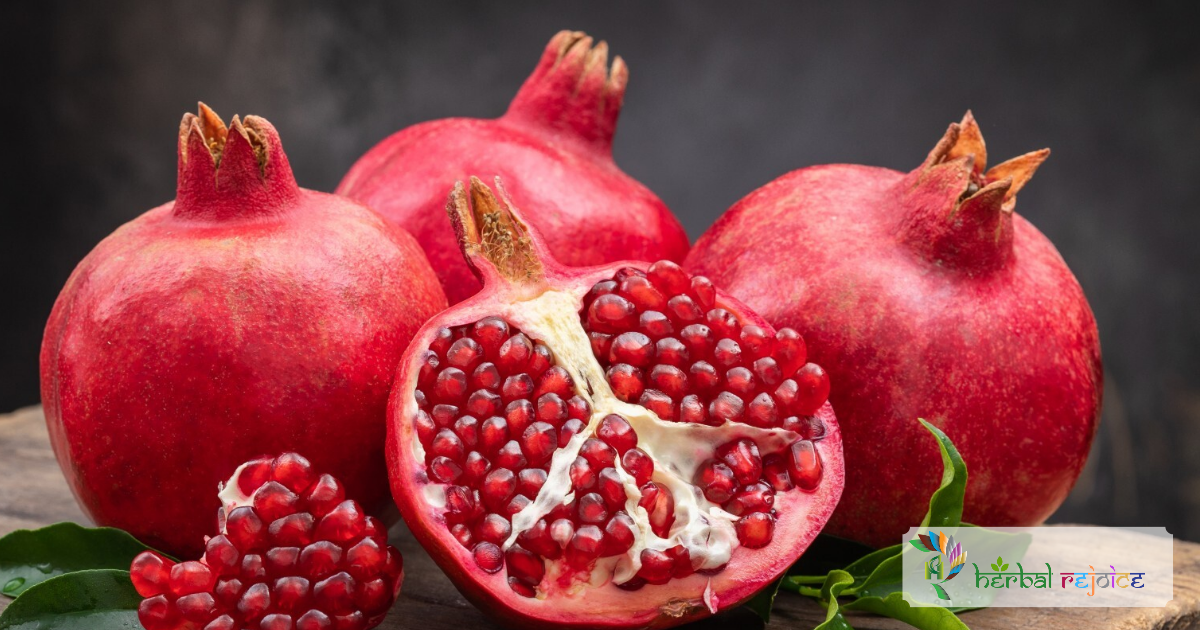 scientific name : Punica granatum common name : pomegranate uses : diarrhea, dysentery, colitis, dyspepsia, and uterine disorders.