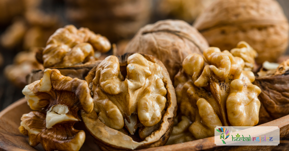 scientific name : Juglans regia common name : walnut uses : laxative, herpes, eczema, ulcers