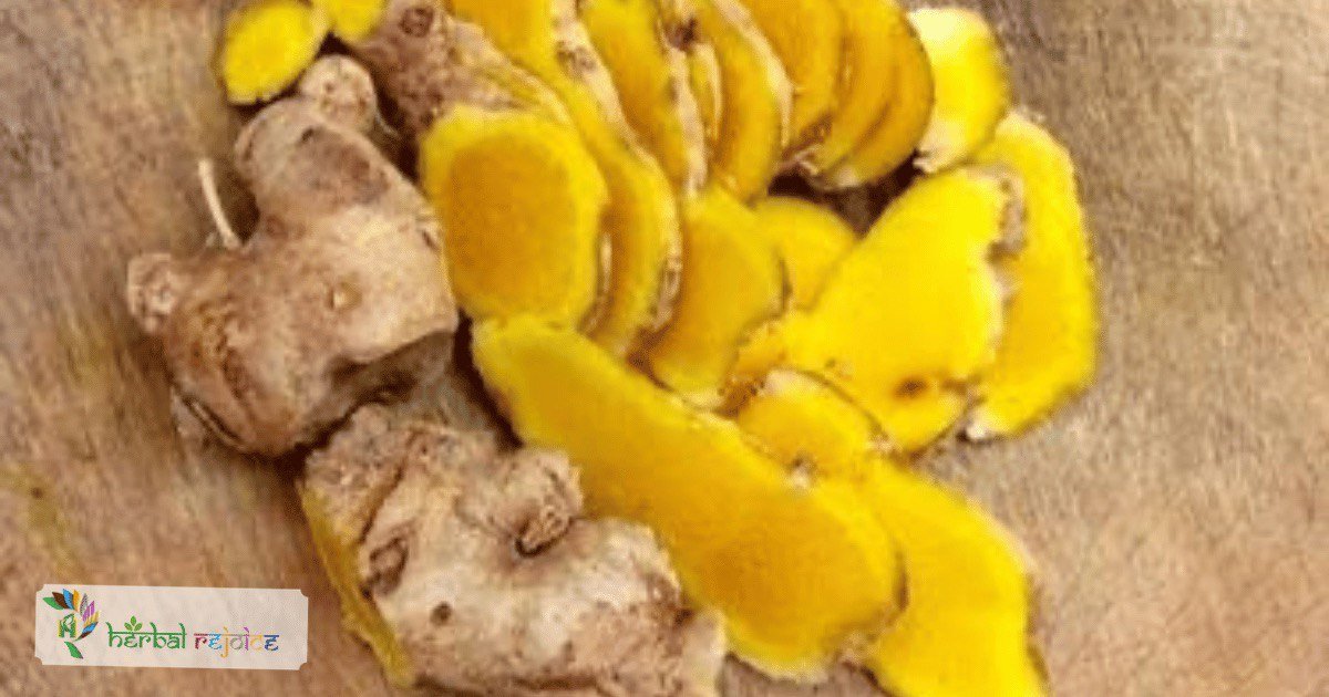 scientific name : Zingiber cassumunar common name : cassumunar ginger uses : to treat various conditions, including diarrhea and colic.