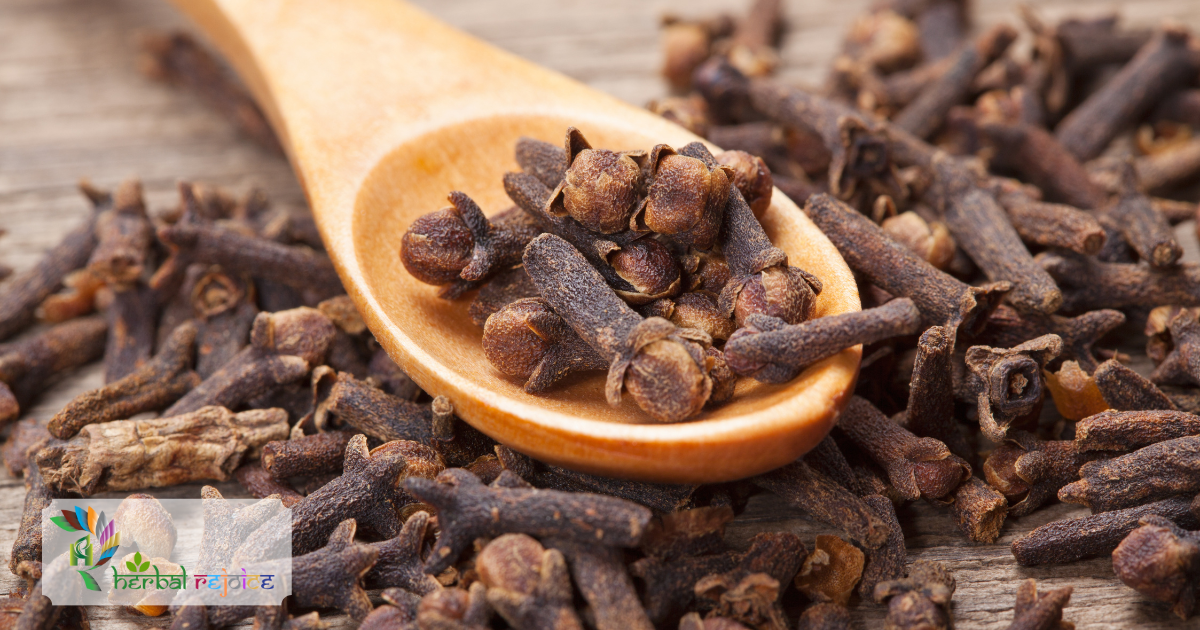 Clove for toothache, as carminative, stimulant, flavouring agent, aromatic, antiseptic, antiviral, antithrombotic