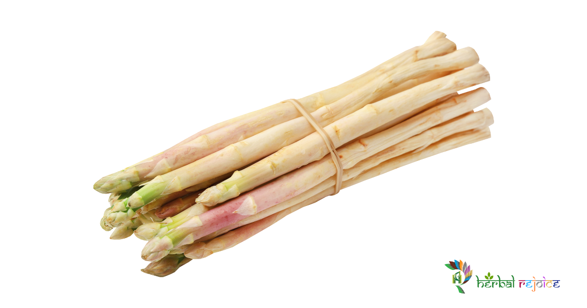 scientific name : Asparagus racemosus common name : shatavari uses : milk production, bleeding disorders, heal ulcers