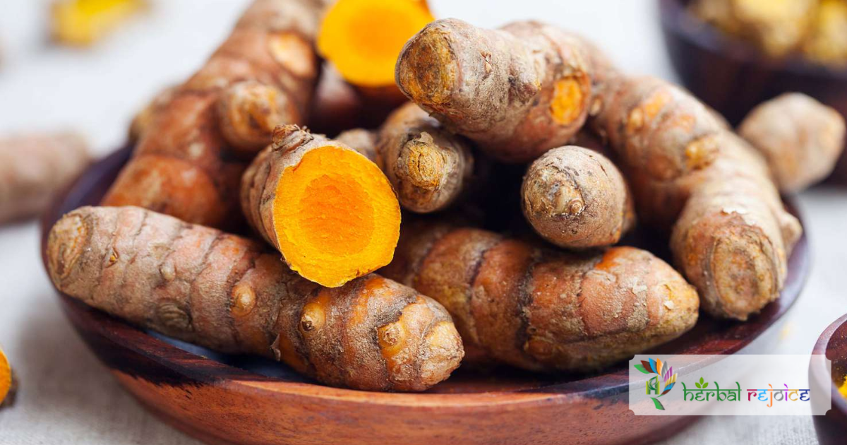scientific name : Curcuma longa common name : turmeric uses : antiseptic, antibacterial, relief from stress, alcohol, and drug-induced ulcer formation.